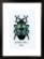 PN-0165369 Набор для вышивки крестом Vervaco Blue Beetle "Синий жук". Catalog. Kits