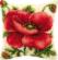 PN-0008703 Набор для вышивания крестом (подушка) Vervaco Oriental poppy "Восточный мак". Catalog. Kits
