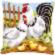 PN-0146209 Набор для вышивания крестом (подушка) Vervaco Chicken family on a farm "Куриная семья на ферме". Catalog. Kits