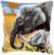 PN-0146813 Набор для вышивания крестом (подушка) Vervaco Elephant Love "Слоновая любовь". Catalog. Kits