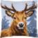 PN-0156293 Набор для вышивания крестом (подушка) Vervaco Deer "Олень". Catalog. Kits