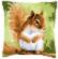 PN-0157491 Набор для вышивания крестом (подушка) Vervaco Squirrel "Белка". Catalog. Kits