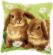 PN-0162709 Набор для вышивания крестом (подушка) Vervaco Two rabbits  "Два кролика". Catalog. Kits