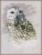 PN-0183826 Набор для вышивки крестом LanArte Snowy Owl "Полярная сова". Catalog. Kits