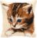 PN-0008537 Набор для вышивания крестом (подушка) Vervaco Cat "Котёнок игрун". Catalog. Kits