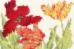 XBD9 Набор для вышивания крестом Tulip Blooms "Тюльпан Цветет" Bothy Threads. Catalog. Kits