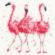 XHD24 Набор для вышивания крестом Pink Ladies "Розовые фламинго" Bothy Threads. Catalog. Kits
