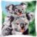 PN-0158399 Набор для вышивания крестом (подушка) Vervaco Koala with baby "Коала с младенцем". Catalog. Kits