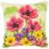 PN-0143708 Набор для вышивания крестом (подушка) Vervaco Flowers field poppies "Цветы полевые маки". Catalog. Kits