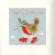 XMAS31 Набор для вышивания крестом (рождественская открытка) Step Into Christmas "Шаг в рождество" Bothy Threads. Catalog. Kits