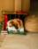 PN-0148118 Набор для вышивания крестом (подушка) Vervaco Dog sleeping on bookshelf "Собачка, спящая на книжной полке". Catalog. Kits