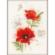 PN-0196178 Набір для вишивки хрестом LanArte Poppies Маки. Catalog. Kits