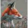 PN-0202499 Набір для вишивки хрестом LanArte Animals, die in die Nacht starТварини дивляться в ніч. Catalog. Kits