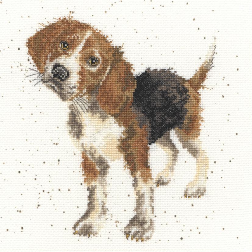 XHD12 Набор для вышивания крестом Beagle "Бигль" Bothy Threads. Catalog. Kits