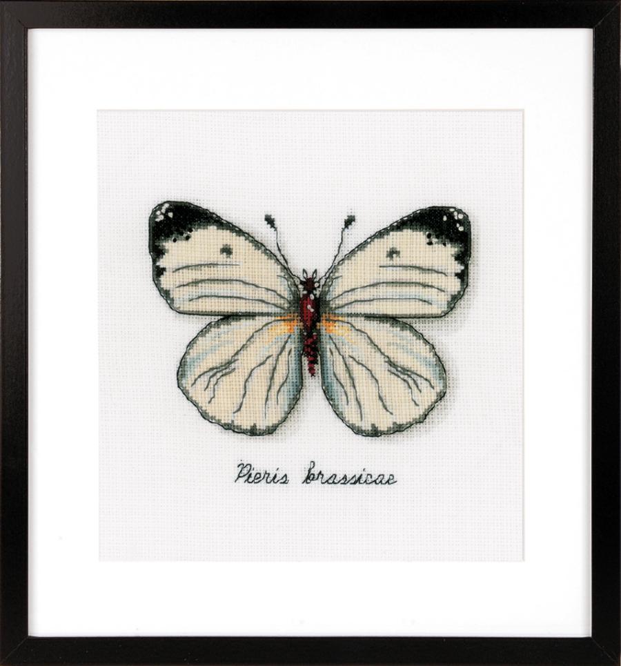 PN-0165233 Набор для вышивки крестом Vervaco White Butterfly "Белая бабочка". Catalog. Kits