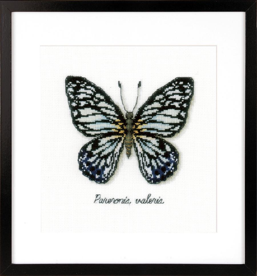 PN-0165403 Набор для вышивки крестом Vervaco Blue Butterfly "Голубая бабочка". Catalog. Kits