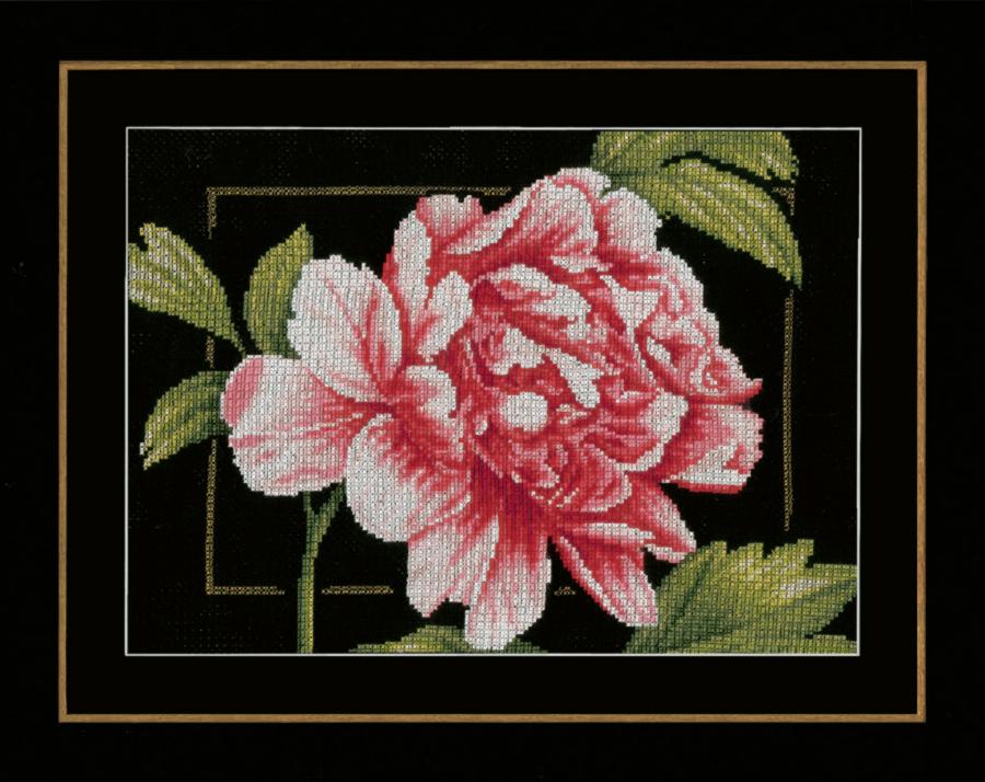 PN-0155749 Набор для вышивки Розовая роза, 33х24, аида 14, счетный крест LanArte. Catalog. Kits