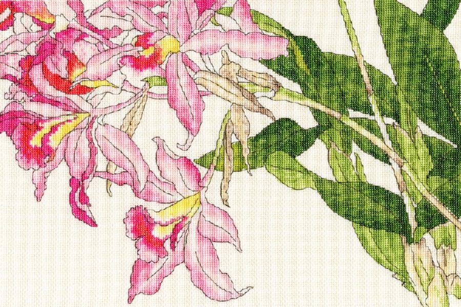 XBD16 Набор для вышивания крестом Orchid blooms "Цветет орхидея" Bothy Threads. Catalog. Kits