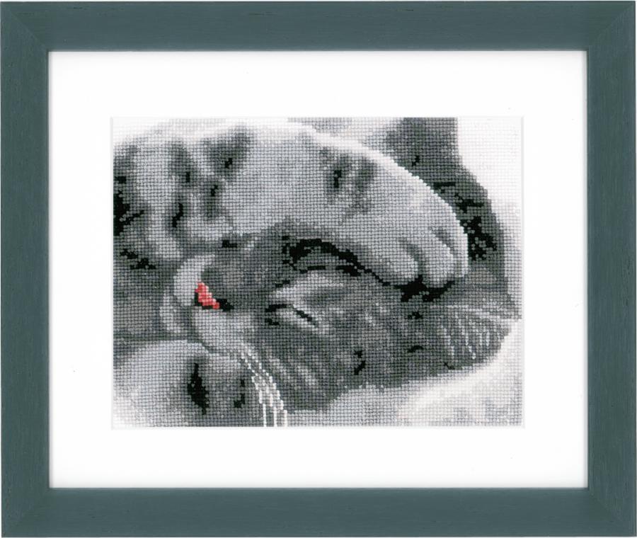 PN-0165499 Набор для вышивания крестом Vervaco "Милый котенок". Catalog. Kits